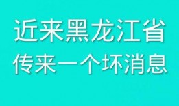 最新黑龙江爆料消息