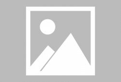 第五人格官网最新爆料,惊悚求生新篇章，官方爆料揭秘神秘角色与惊悚剧情